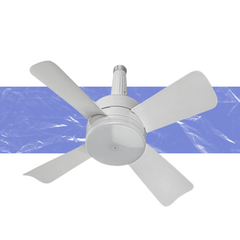 Fan Light